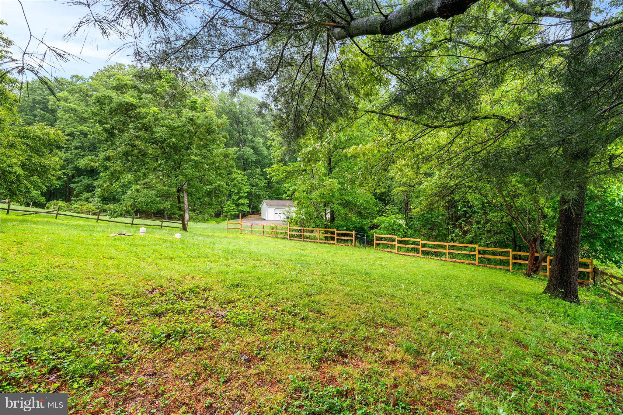 4217 Bill Moxley Road Mount Airy, MD 21771 - Photo 48 of 57 a view of a field with a tree