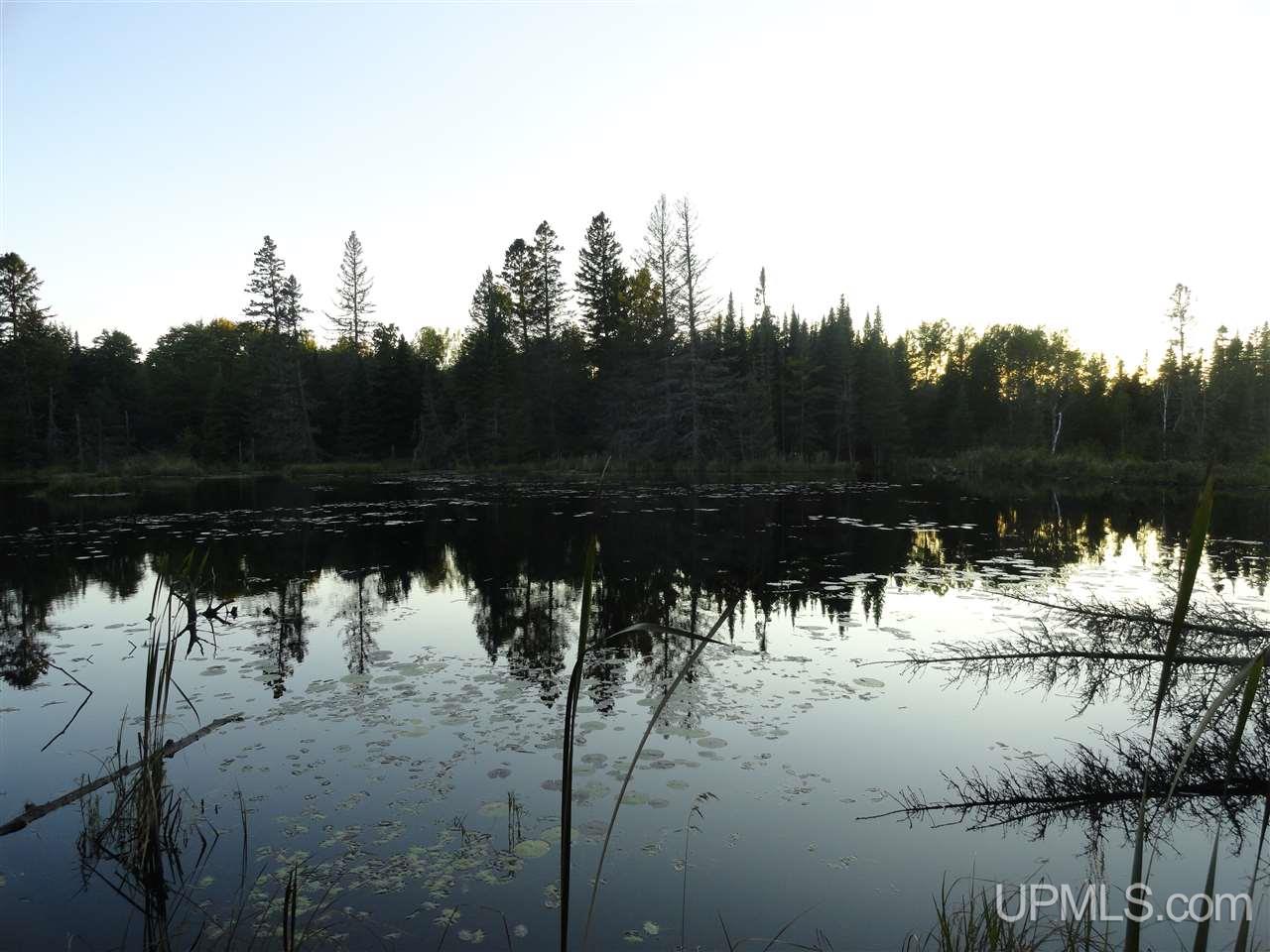 N12885 Newberg Road Channing, MI 49815 - Photo 30 of 33