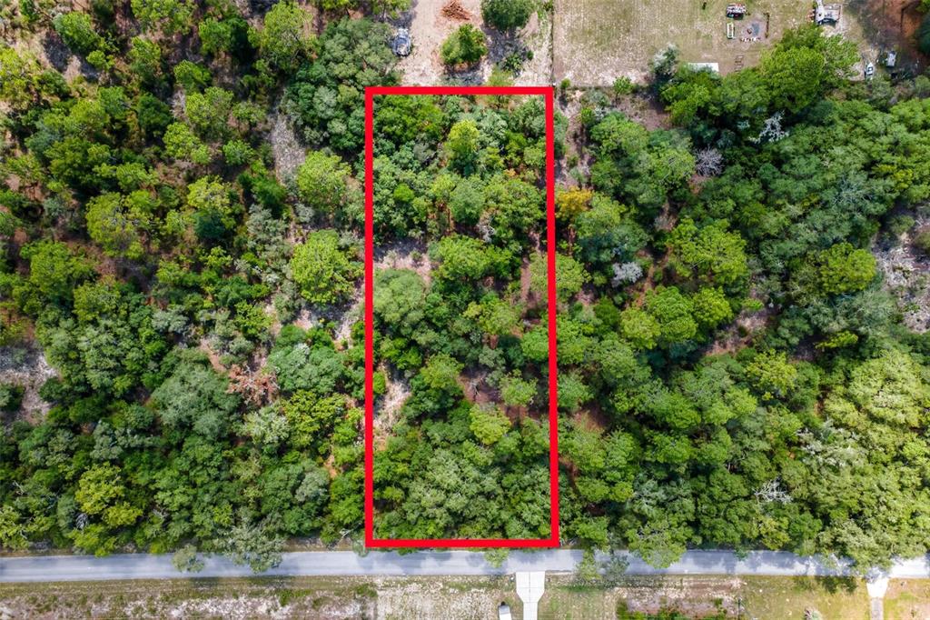 Southwest Shasta Court Dunnellon, FL 34431 - Photo 2 of 9
