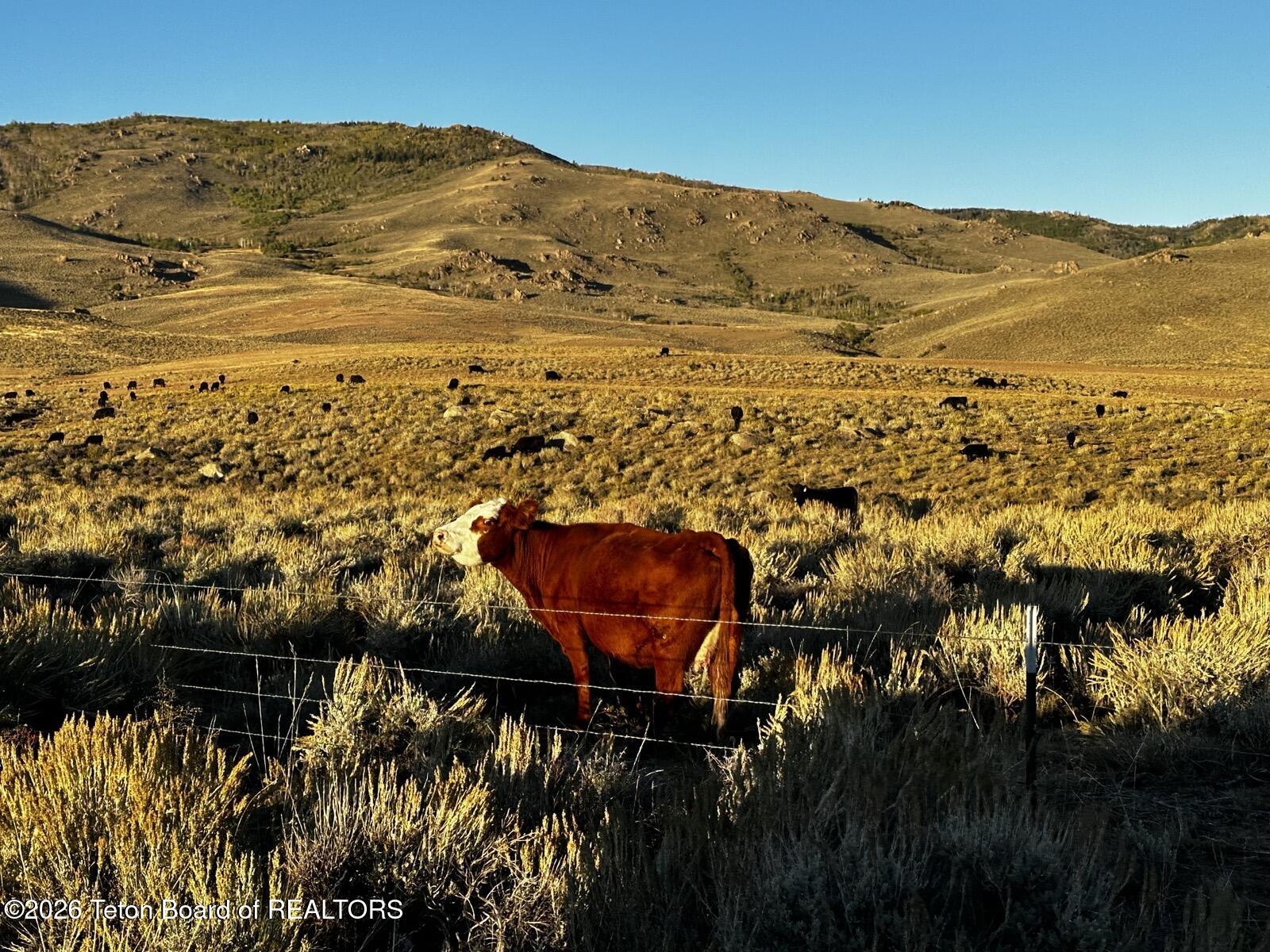 Lot 8 Chimney Butte Road Boulder, WY 82923 - Photo 12 of 17 12