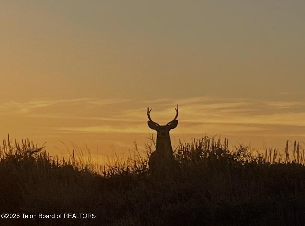 Lot 8 Chimney Butte Road Boulder, WY 82923 - Photo 14 of 17 14