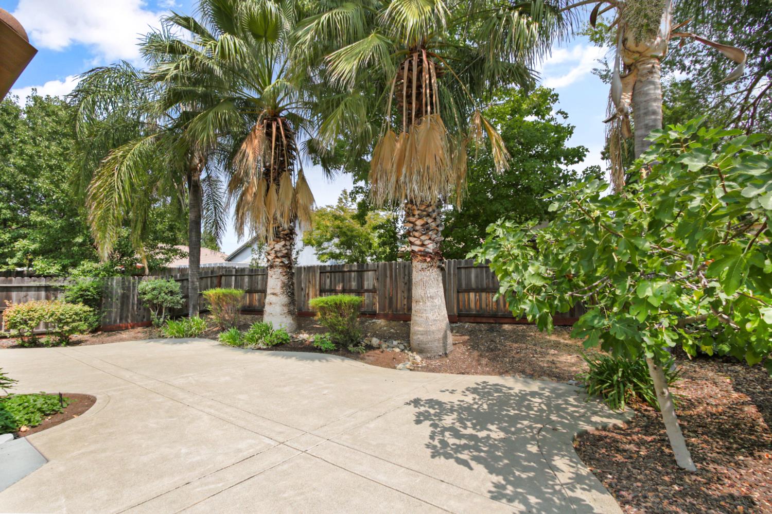 336 Rundgren Way Folsom, CA 95630 - Photo 35 of 52 Gallery Image 35
