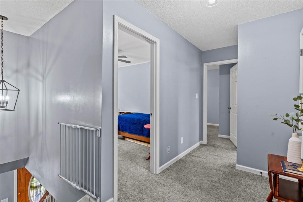 317 Holmes Road Newton, AL 36352 - Photo 14 of 55 Gallery Image 14