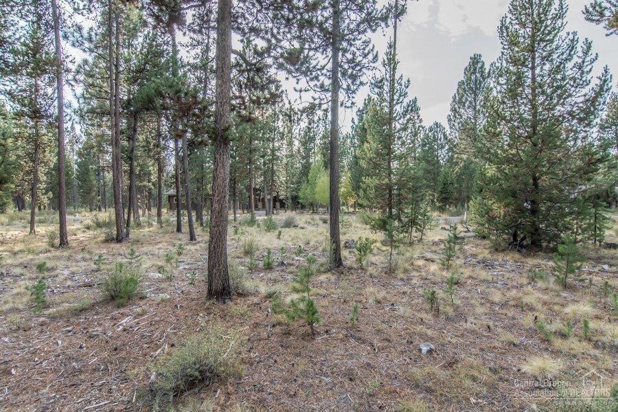 56456 Sunstone Loop Bend, OR 97707 - Photo 12 of 15 Current view to the south.