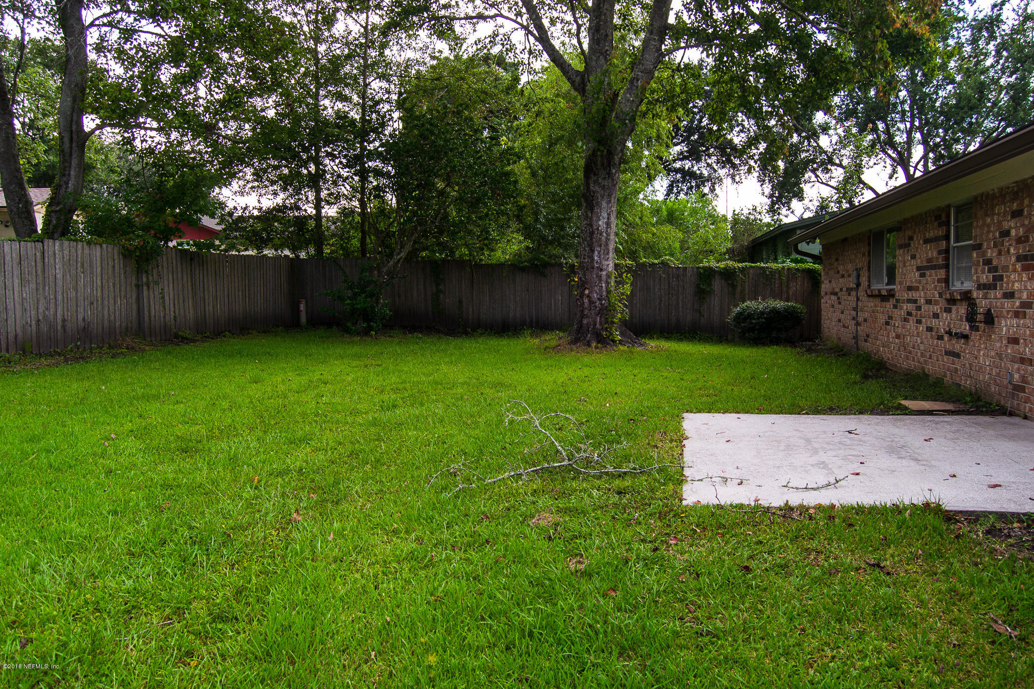 8692 Moss Haven Road Jacksonville, FL 32221 - Photo 5 of 20 Backyard