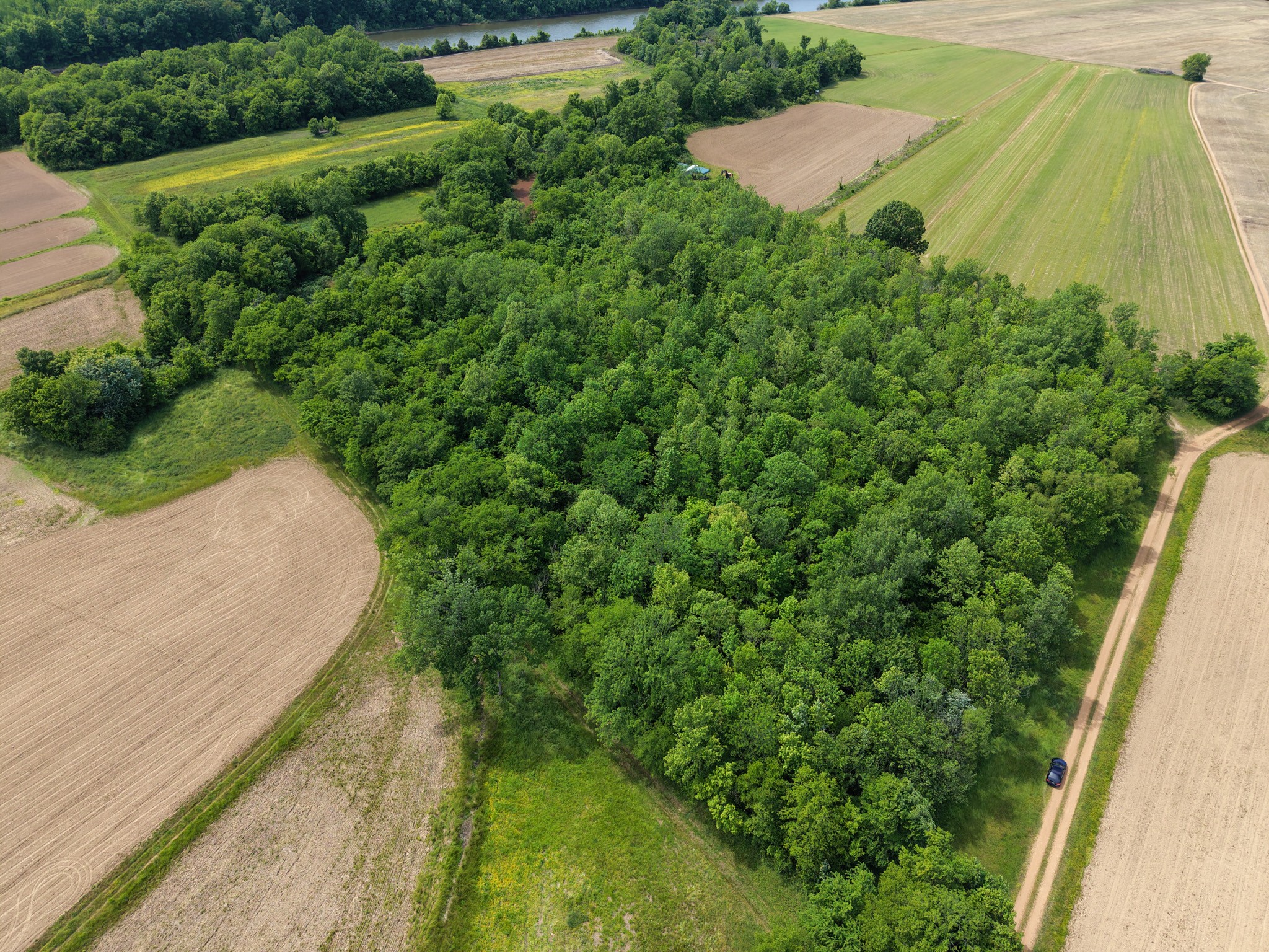 1 Neptune Road Ashland City, TN 37015 - Photo 27 of 34 Gallery Image 27