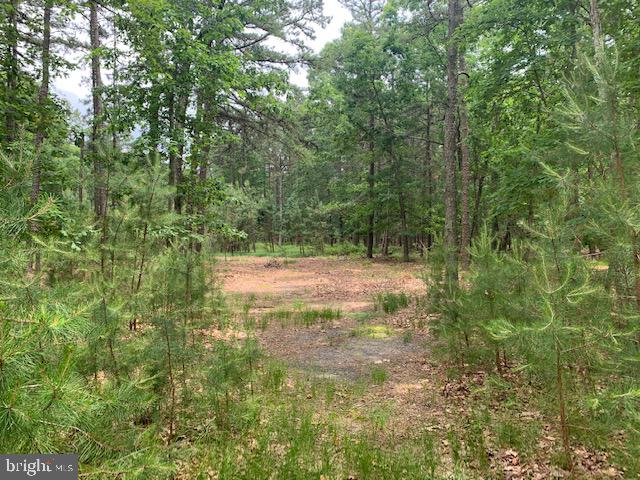 7 Red Onion Road Vincentown, NJ 08088 - Photo 1 of 3