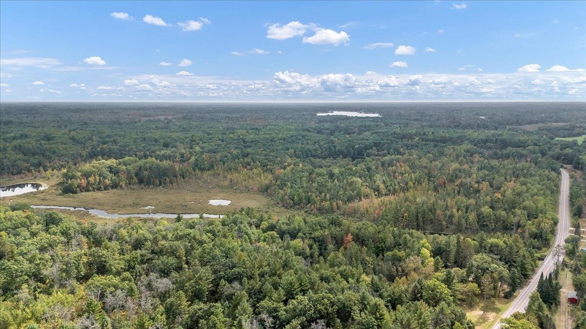 5500 County Line Road Hale, MI 48739 - Photo 51 of 59