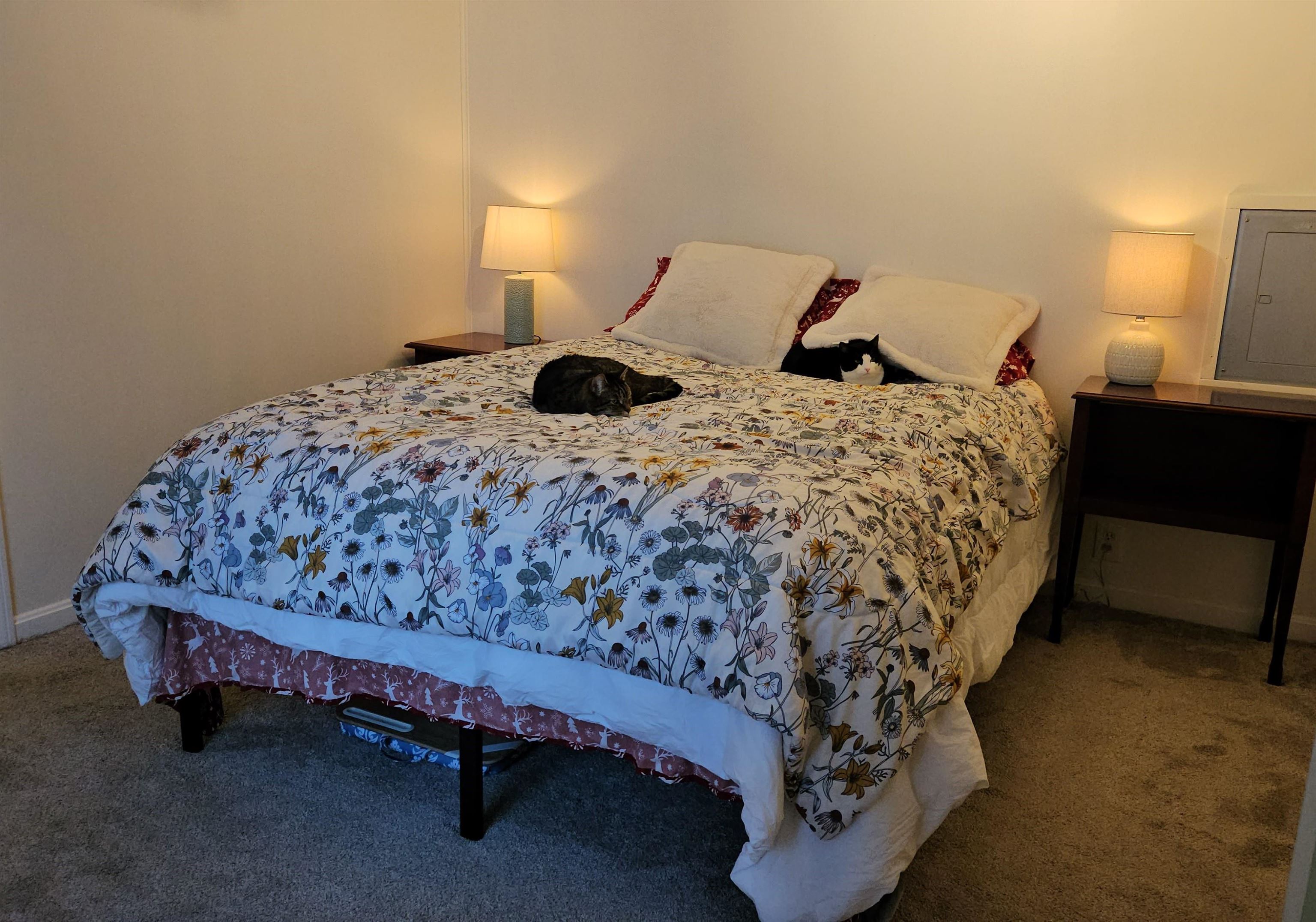 1025 Mountainview Avenue Charlestown, NH 03603 - Photo 8 of 18