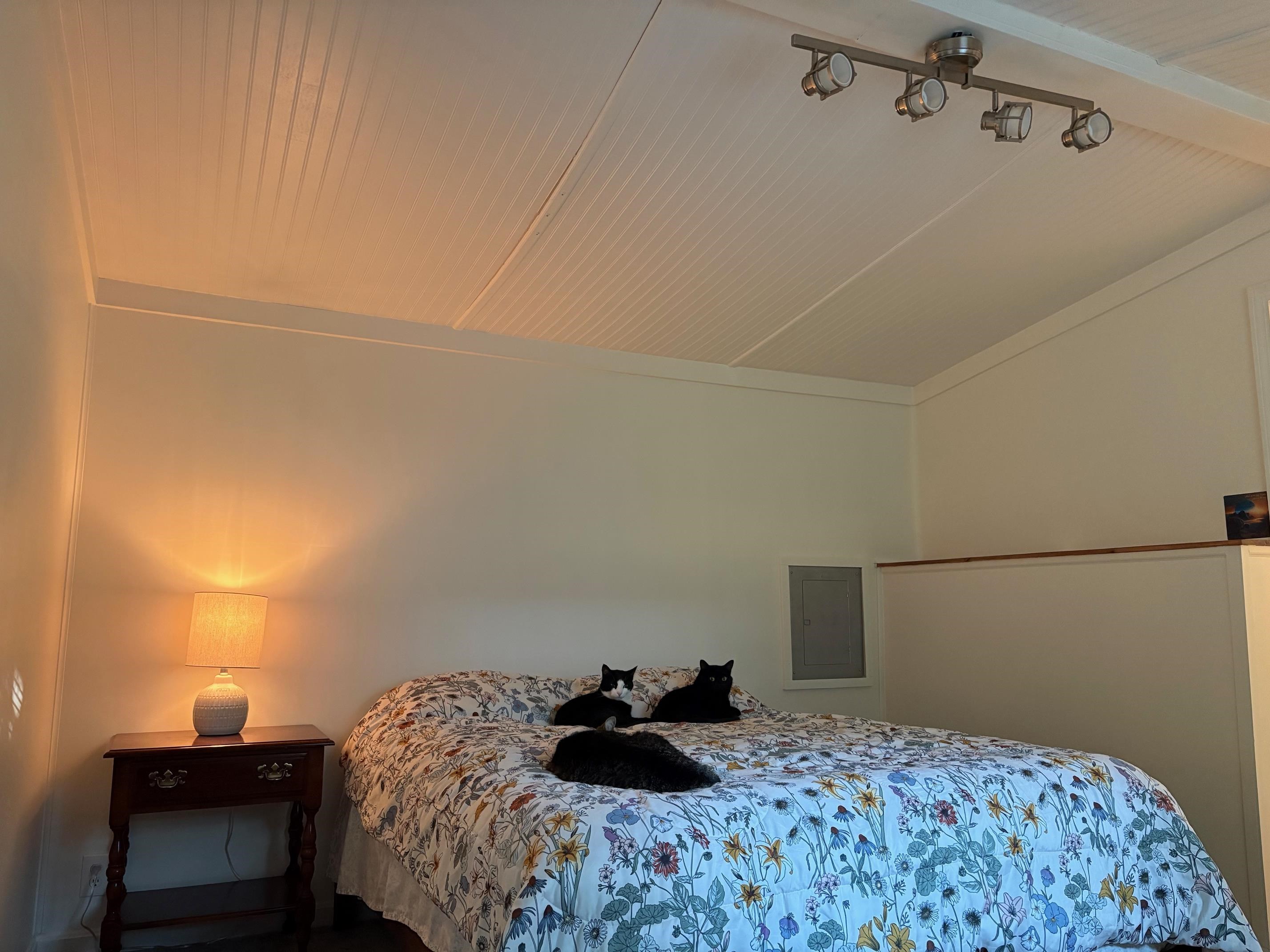 1025 Mountainview Avenue Charlestown, NH 03603 - Photo 10 of 18