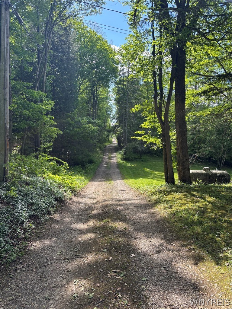 10147 Savage Road Sardinia, NY 14080 - Photo 12 of 21