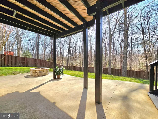 a view of a park with a large trees