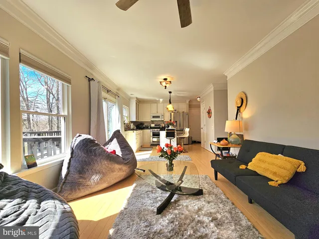 a living room with furniture rug and window
