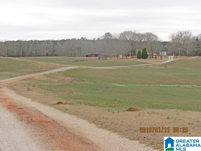 515 Glovers Ferry Road Alpine, AL 35014 - Photo 5 of 18