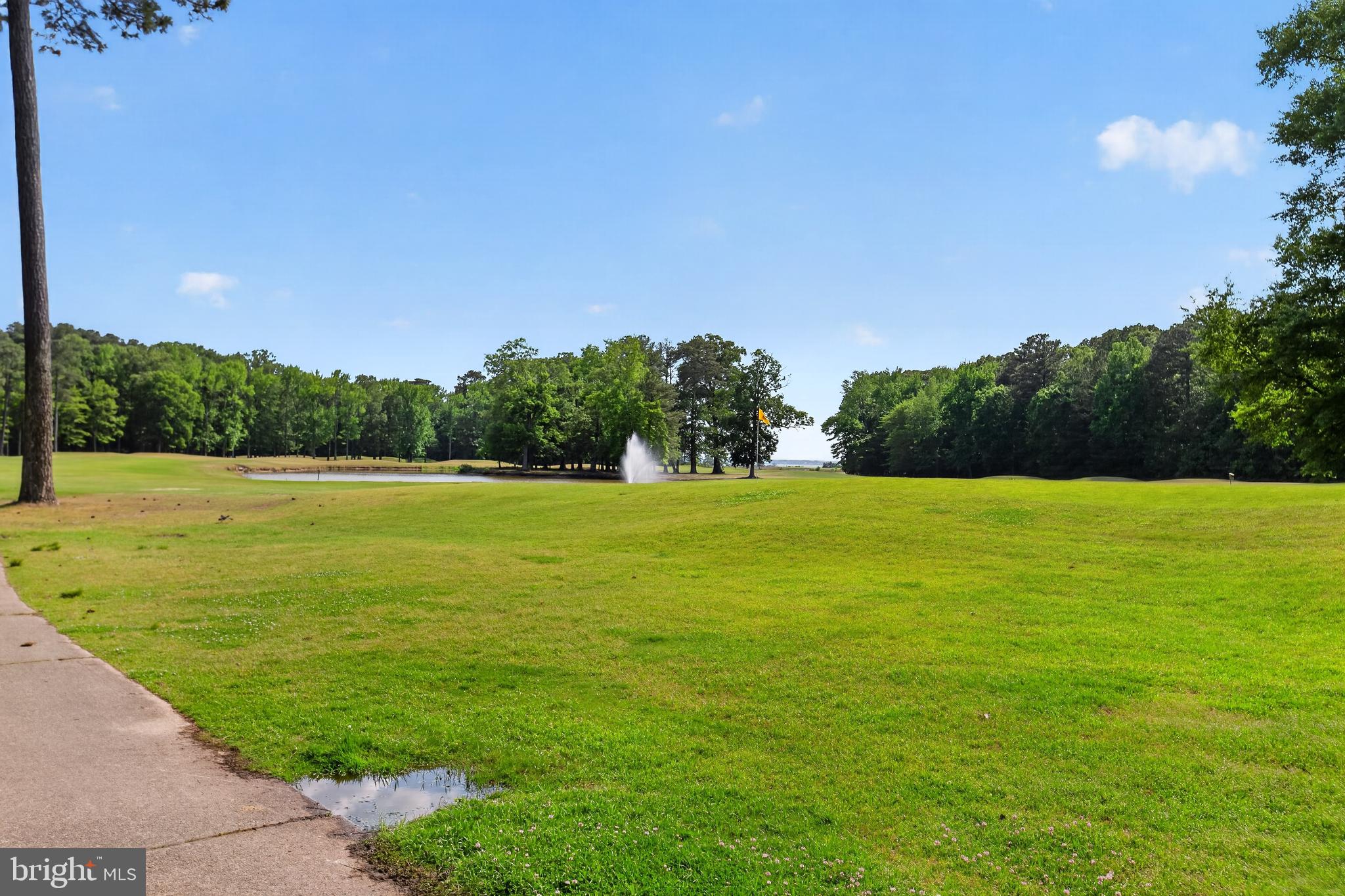 14575 Honeysuckle Way Issue, MD 20645 - Photo 42 of 49 a view of a green field