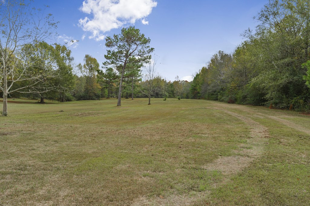 140 Lee Magee Road Tylertown, MS 39667 - Photo 8 of 30 Photo 8