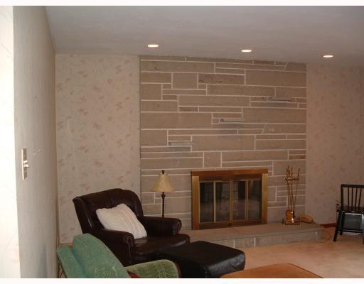 111 Pine Run Church Road Apollo, PA 15613 - Photo 5 of 12 Living Room. Beautiful stone fireplace w/gas logs