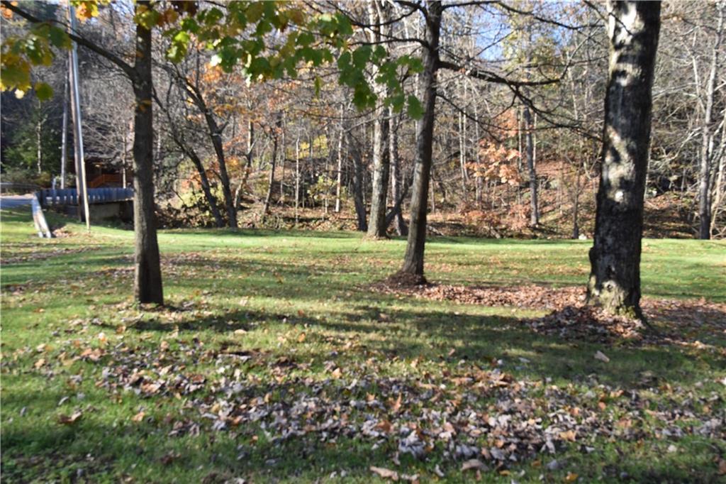 1242 Stitts Run Road Vandergrift, PA 15690 - Photo 23 of 23 a view of a yard with a tree