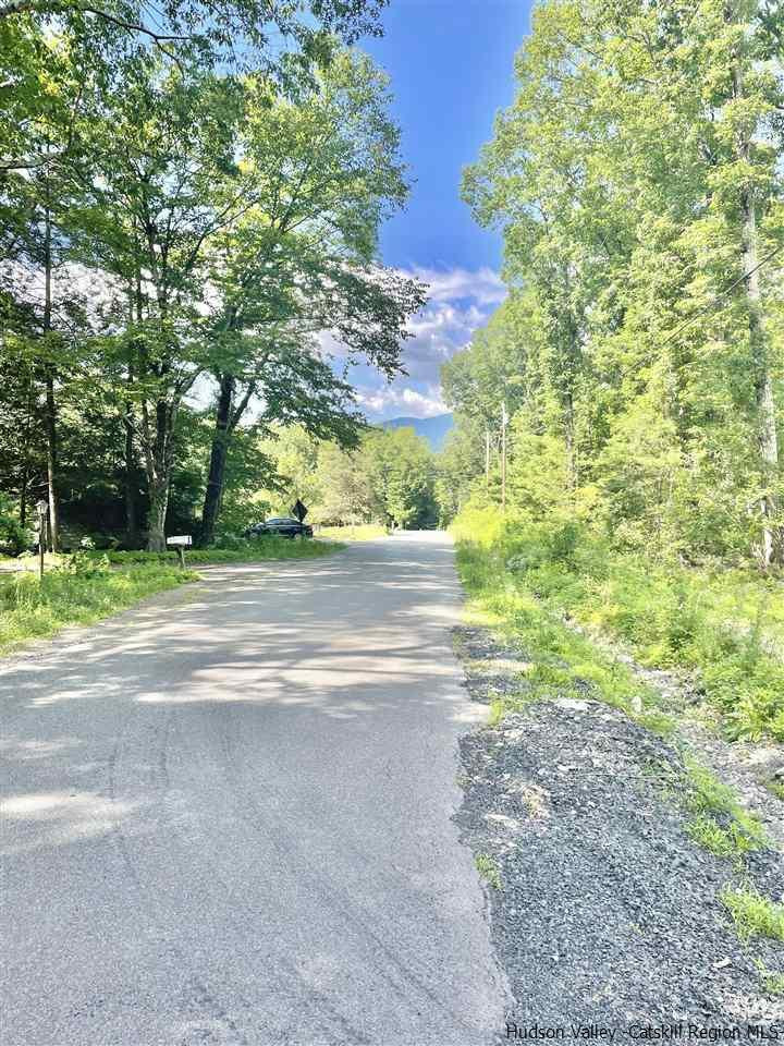 29 Black Road Shokan, NY 12481 - Photo 18 of 19 Photo 18