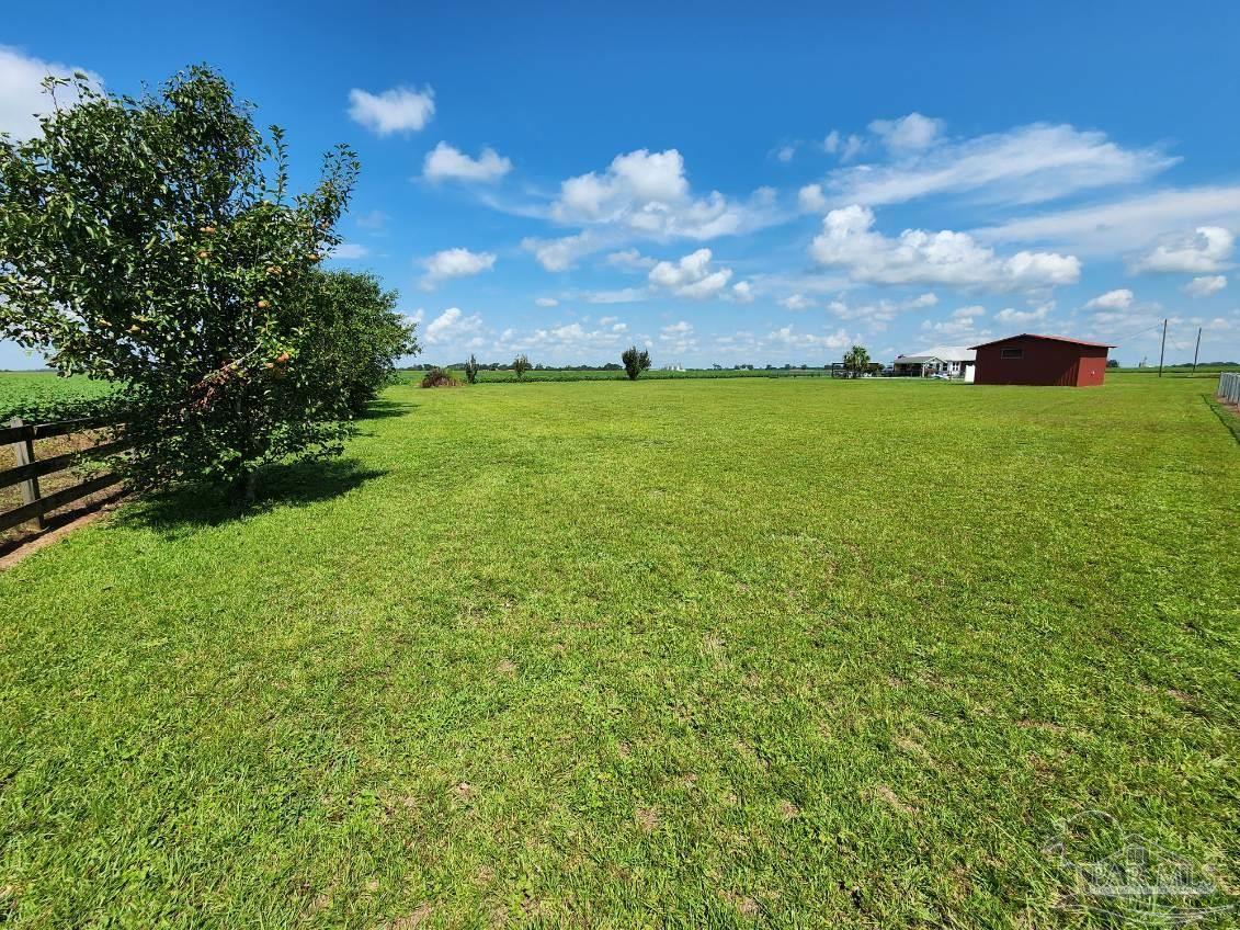 3677 Harvest Road Jay, FL 32565 - Photo 18 of 44