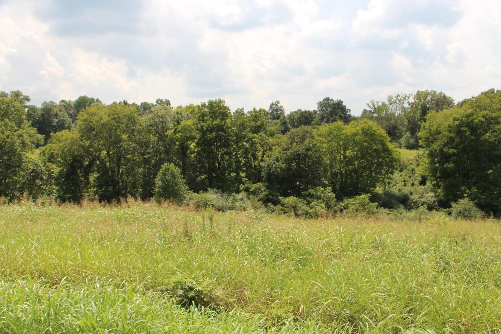 3472 Thompson Road Springfield, TN 37172 - Photo 1 of 1