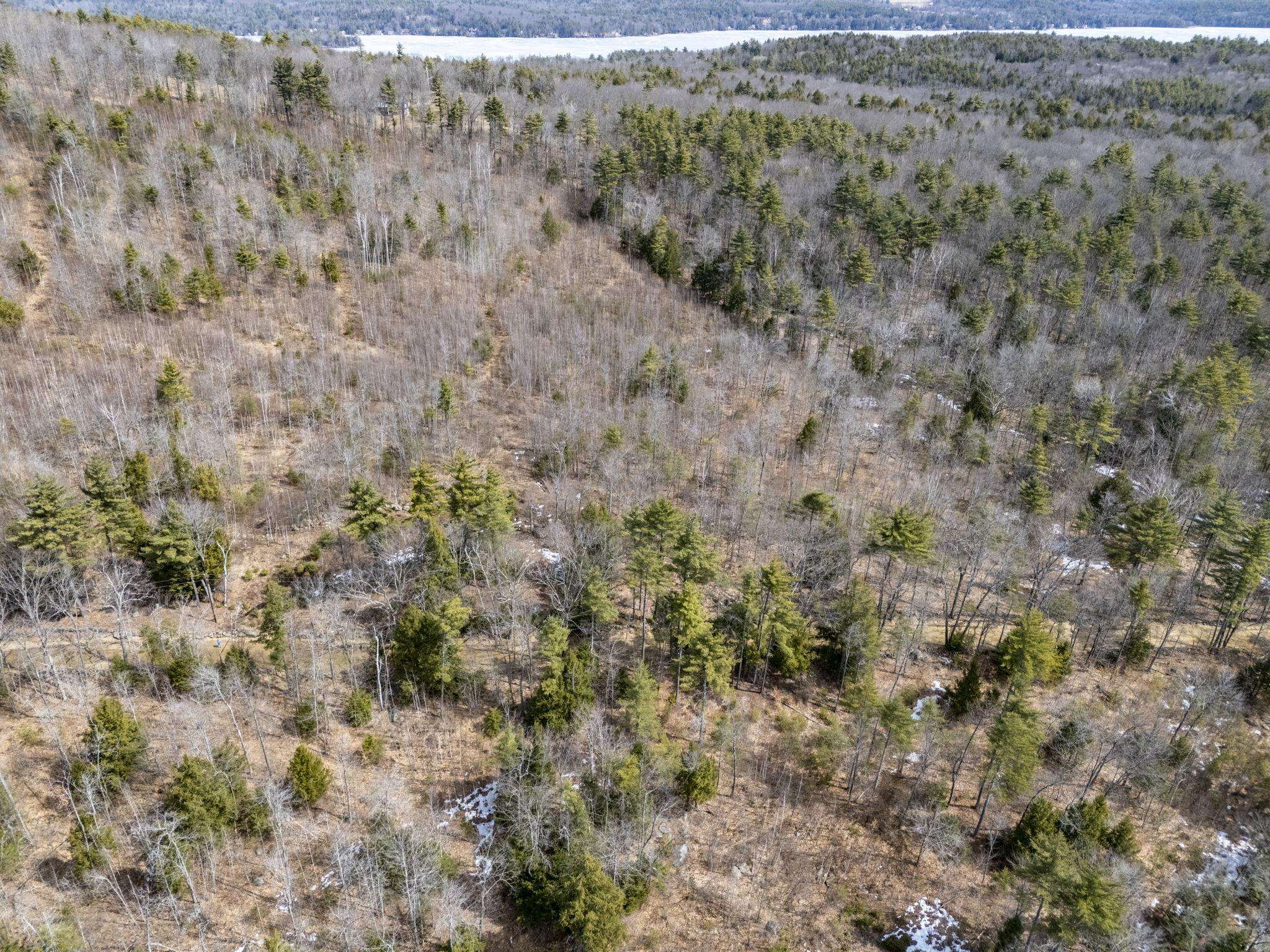 0 Roxbury Road, Unit LOT 1 Meredith, NH 03253 - Photo 14 of 16