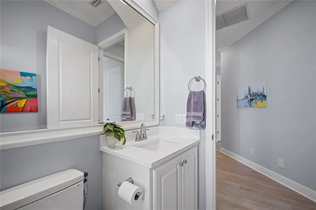 a bathroom with a sink vanity and toilet