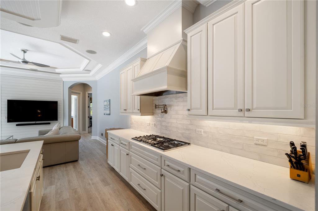 14721 Bowfin Terrace Lakewood Ranch, FL 34202 - Photo 7 of 50 a kitchen with stainless steel appliances a stove a sink and white cabinets