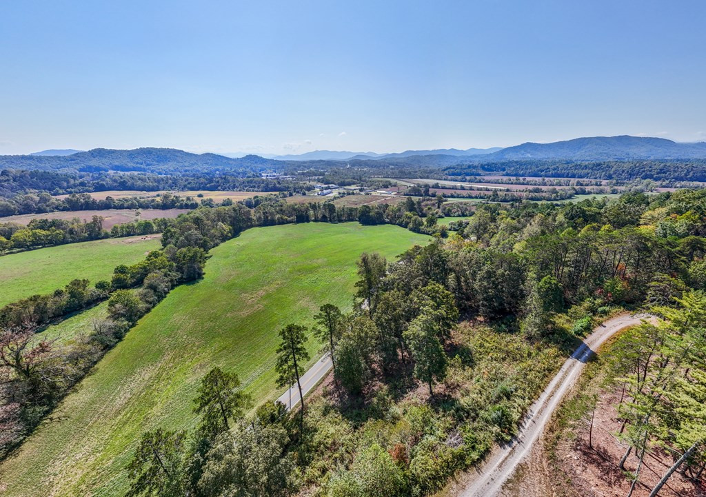0 Mistletoe Ridge Murphy, NC 28906 - Photo 19 of 34