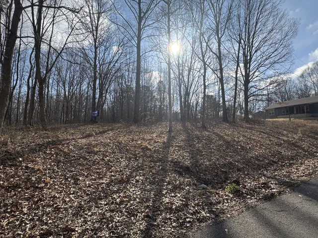 $28,000 | 0 Crestview Drive, Bumpus Mills, TN 37028