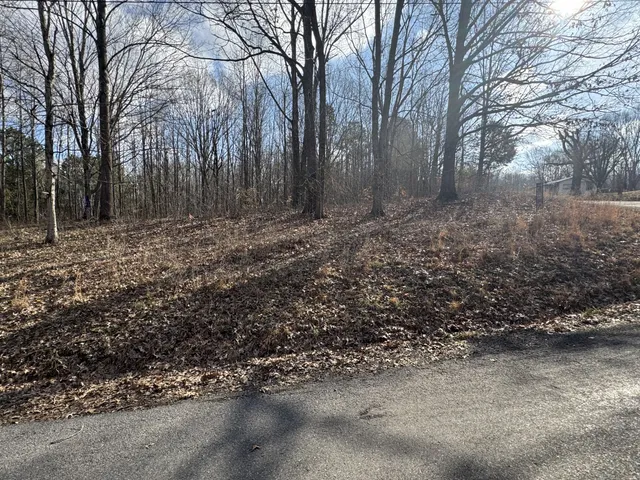 $28,000 | 0 Crestview Drive, Bumpus Mills, TN 37028