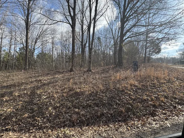 $28,000 | 0 Crestview Drive, Bumpus Mills, TN 37028