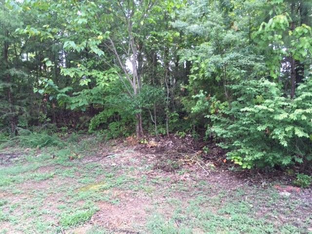 383 Francisco Road Northwest Georgetown, TN 37336 - Photo 1 of 1 a view of a yard with a tree