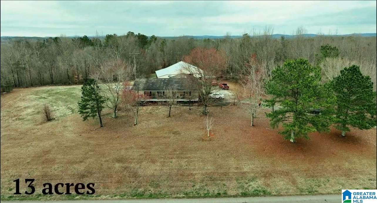 1403 Mt Moriah Road Delta, AL 36258 - Photo 1 of 26