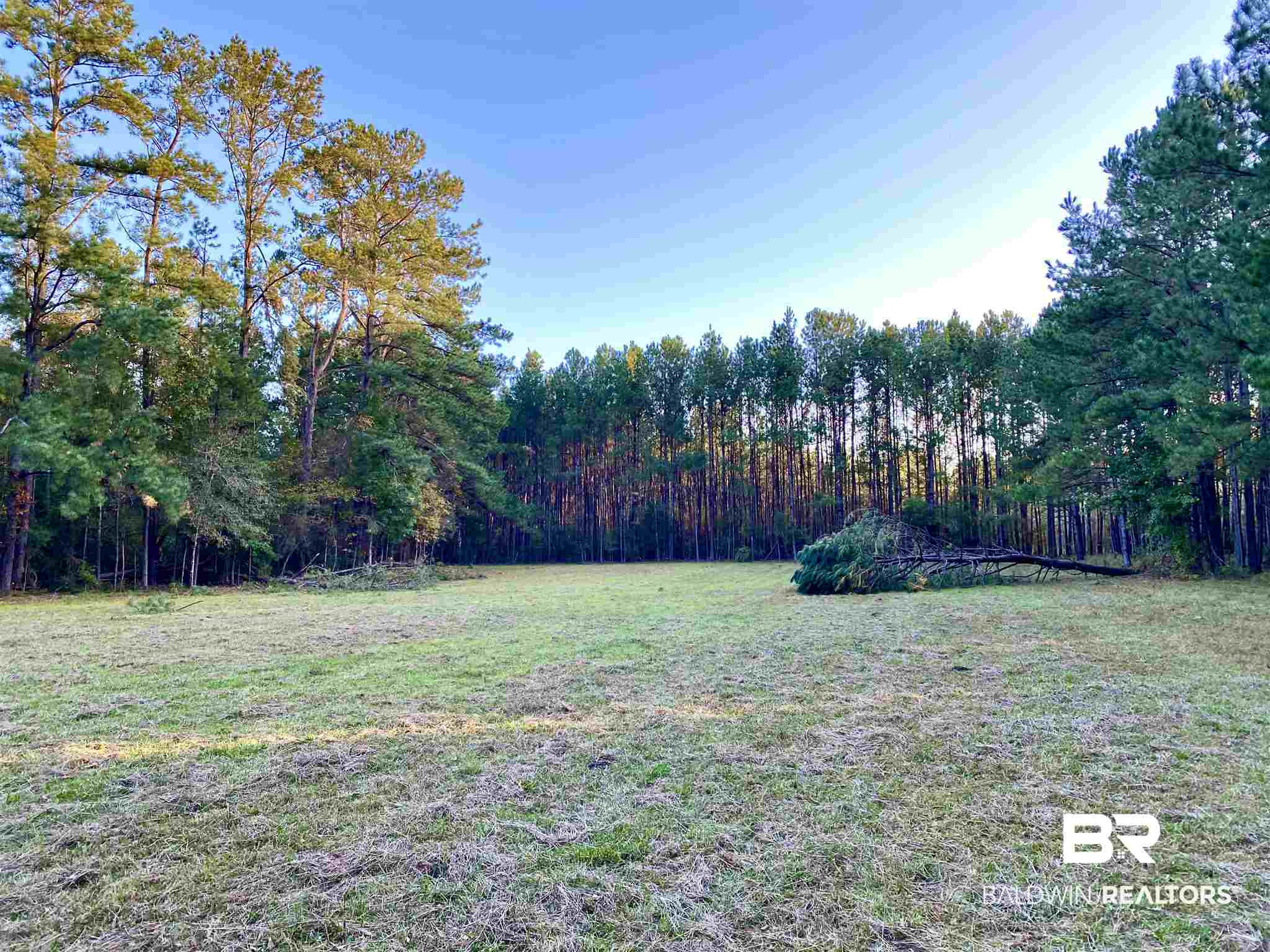 0 Country Road Fruitdale, AL 36539 - Photo 32 of 47