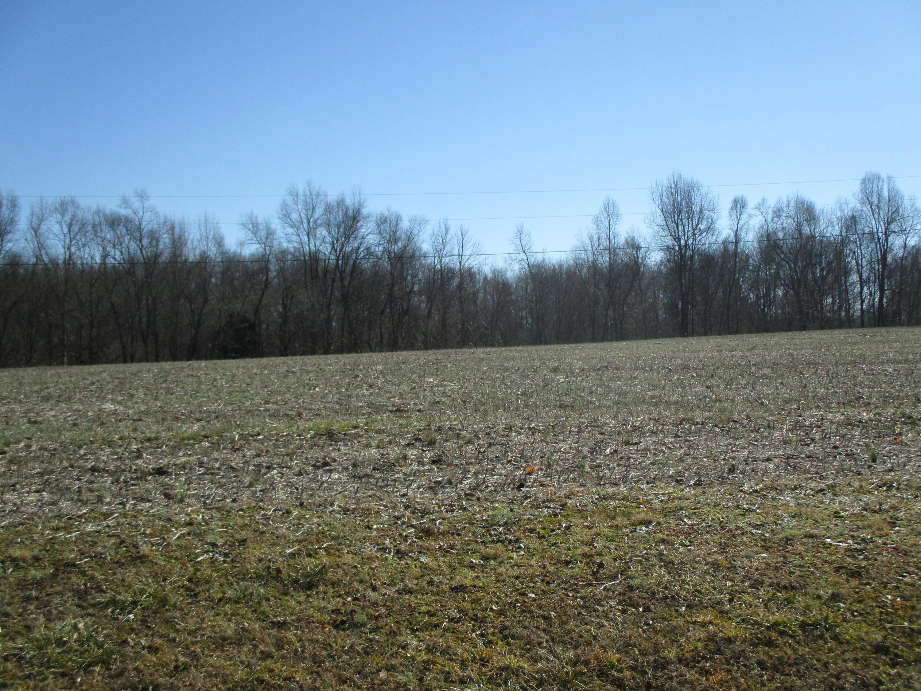 528 Johnny Carpenter Road Waynesburg, KY 40489 - Photo 19 of 27 IMG_3148