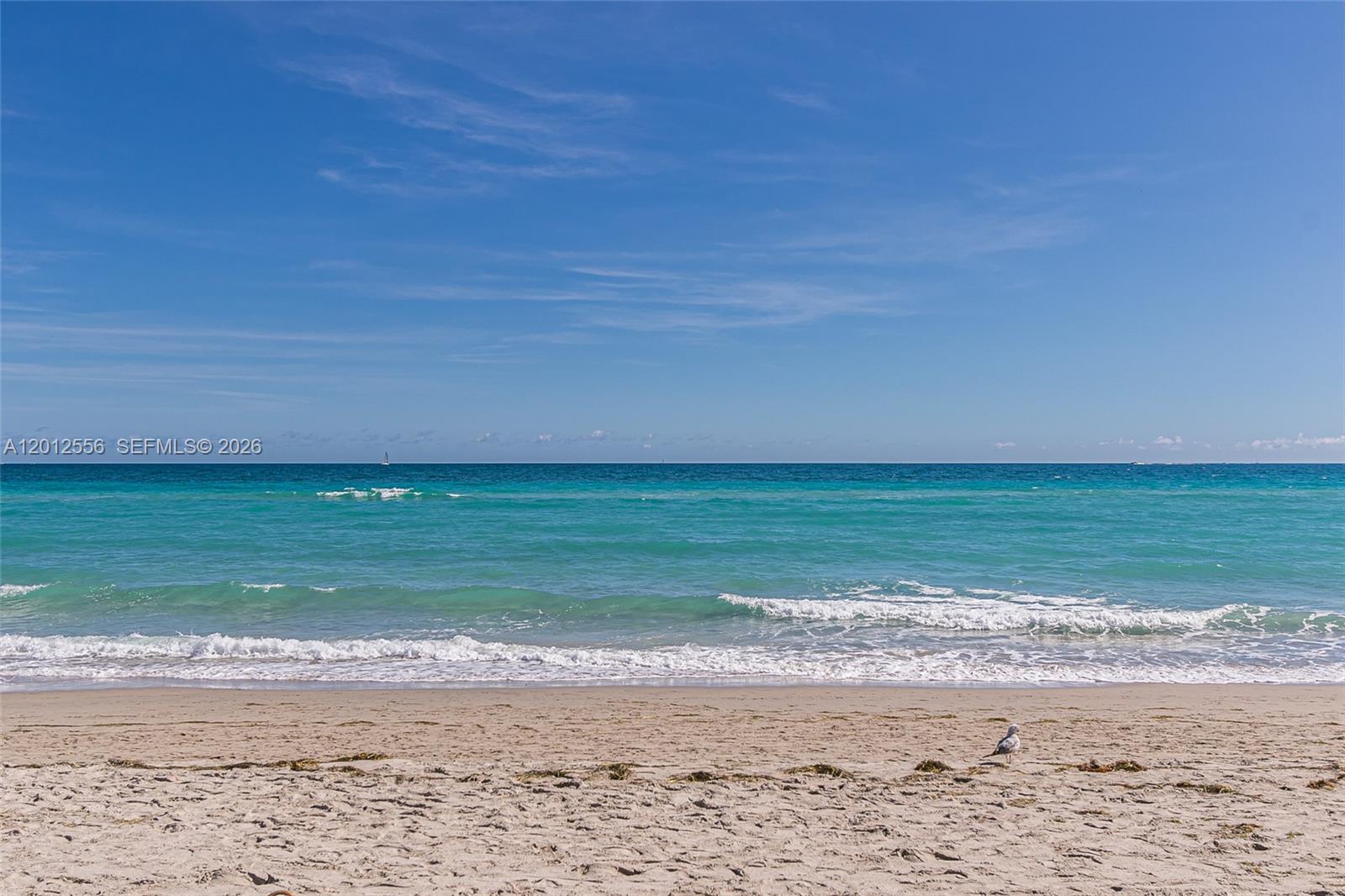 1801 South Surf Road, Unit 4A Hollywood, FL 33019 - Photo 2 of 24 a view of a lake view
