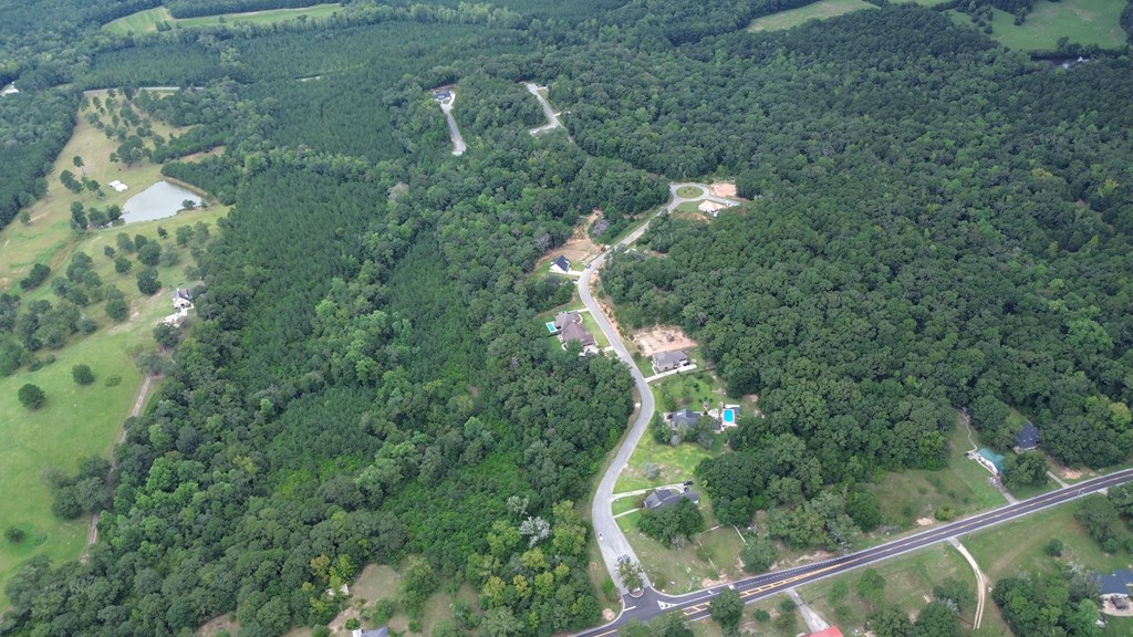 0 Old Village Road Ozark, AL 36360 - Photo 2 of 2