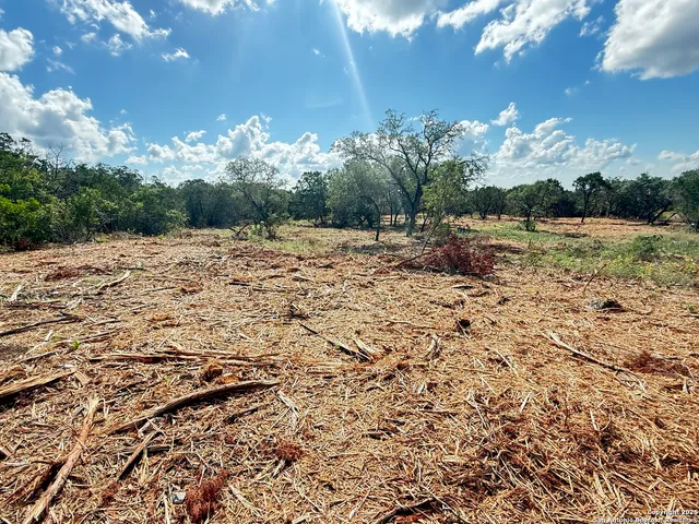 a view of a lake with a mountain