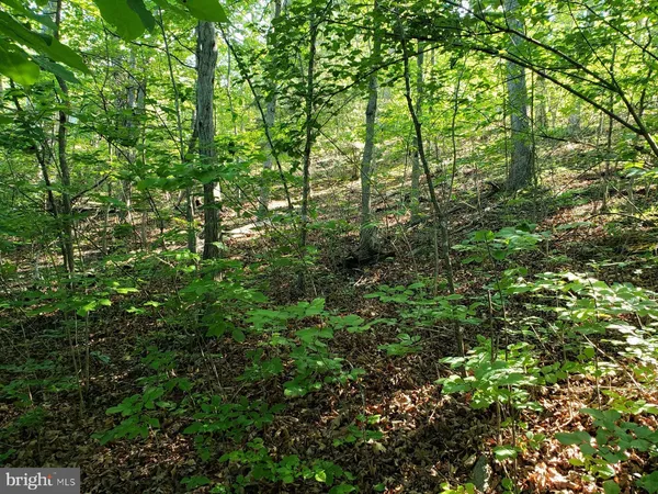 $450,000 | 0 Lakeview Drive, Cross Junction, VA 22625