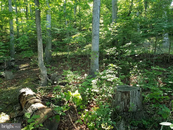 $450,000 | 0 Lakeview Drive, Cross Junction, VA 22625