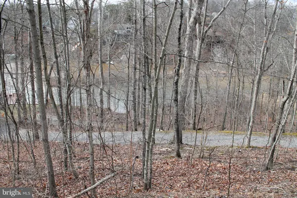 $450,000 | 0 Lakeview Drive, Cross Junction, VA 22625