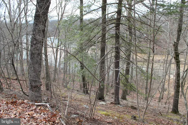 $450,000 | 0 Lakeview Drive, Cross Junction, VA 22625