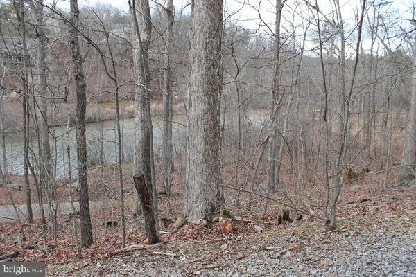 $450,000 | 0 Lakeview Drive, Cross Junction, VA 22625