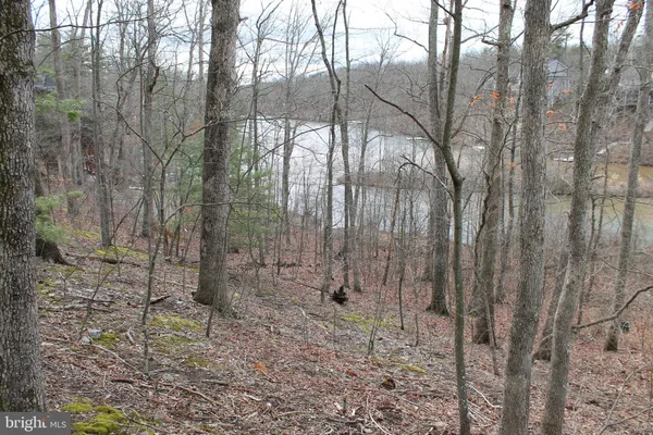 $450,000 | 0 Lakeview Drive, Cross Junction, VA 22625