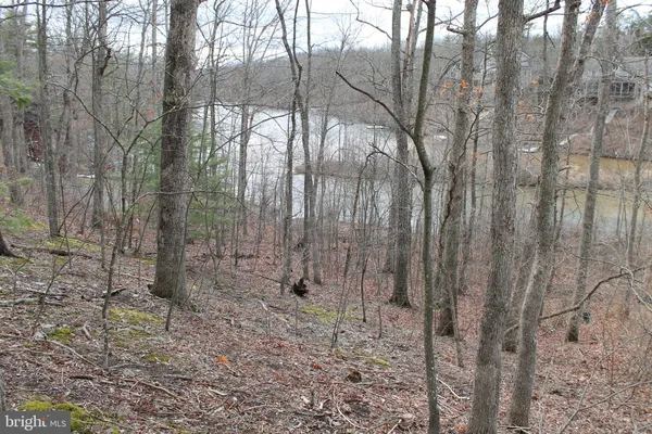 $450,000 | 0 Lakeview Drive, Cross Junction, VA 22625