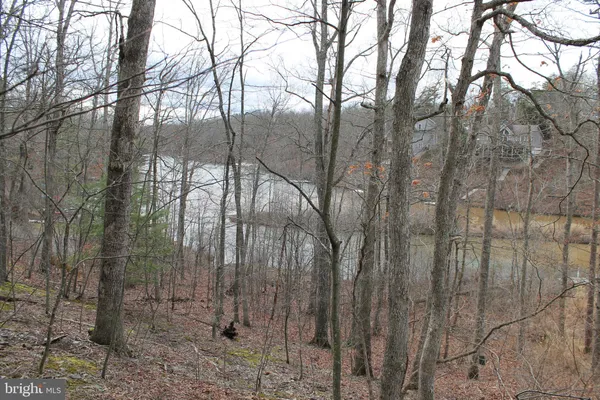 $450,000 | 0 Lakeview Drive, Cross Junction, VA 22625