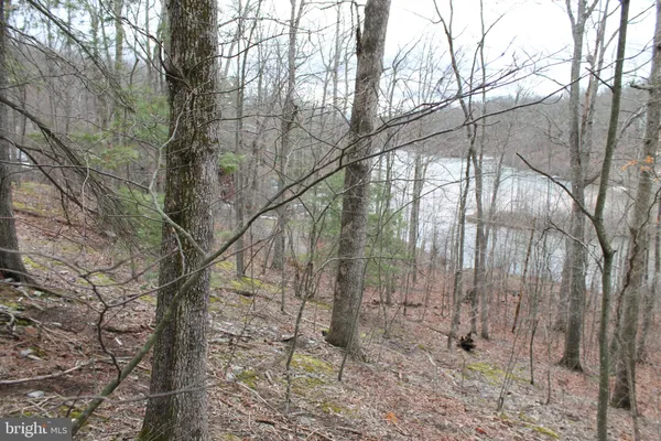 $450,000 | 0 Lakeview Drive, Cross Junction, VA 22625