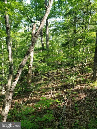 $450,000 | 0 Lakeview Drive, Cross Junction, VA 22625