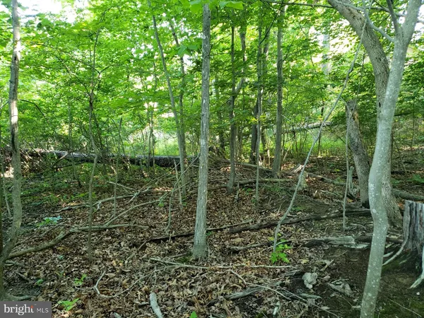 $450,000 | 0 Lakeview Drive, Cross Junction, VA 22625